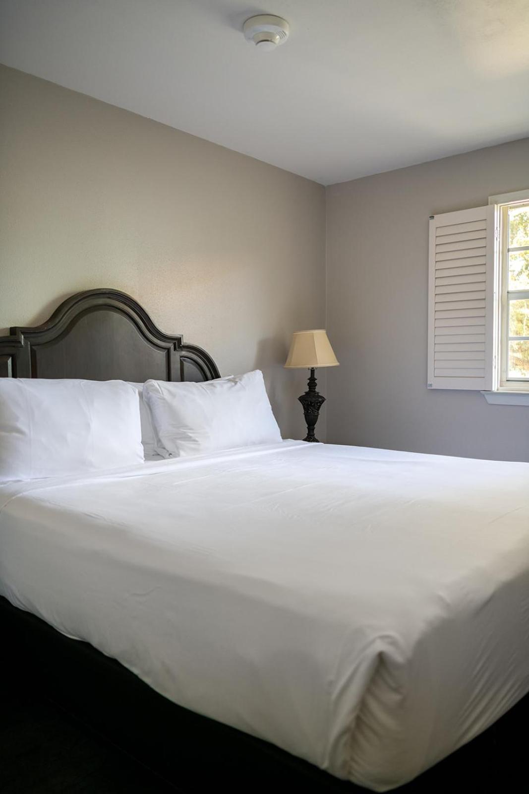 French Quarter Suites Hotel New Orleans  Kültér fotó